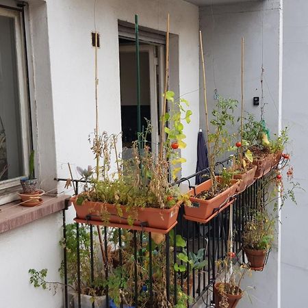 La Puisatiere 80 M2 Apartment Strasbourg Exterior photo