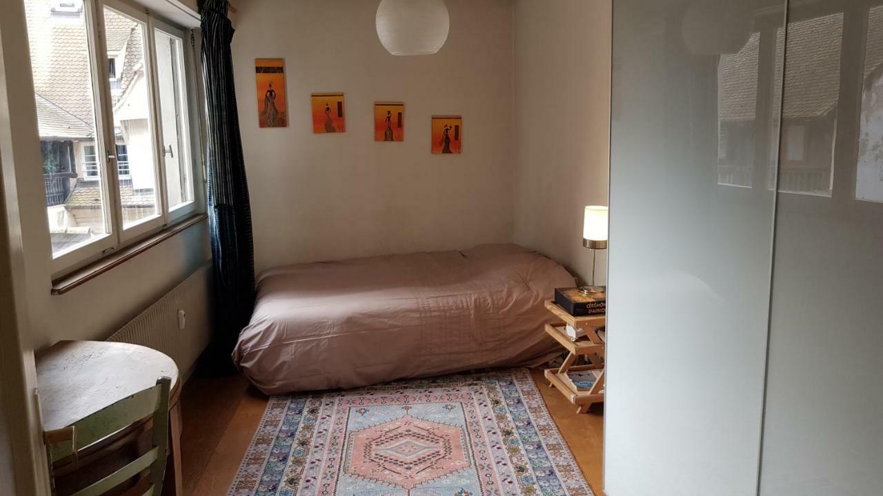 La Puisatiere 80 M2 Apartment Strasbourg Exterior photo